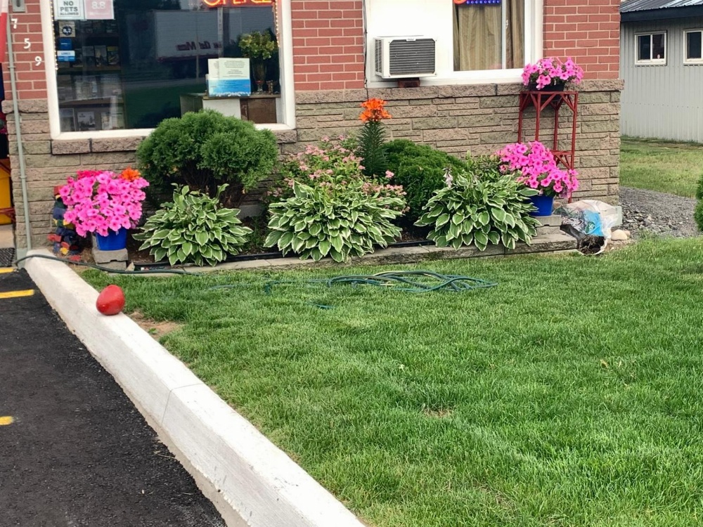 Trunk Road Motel Main image